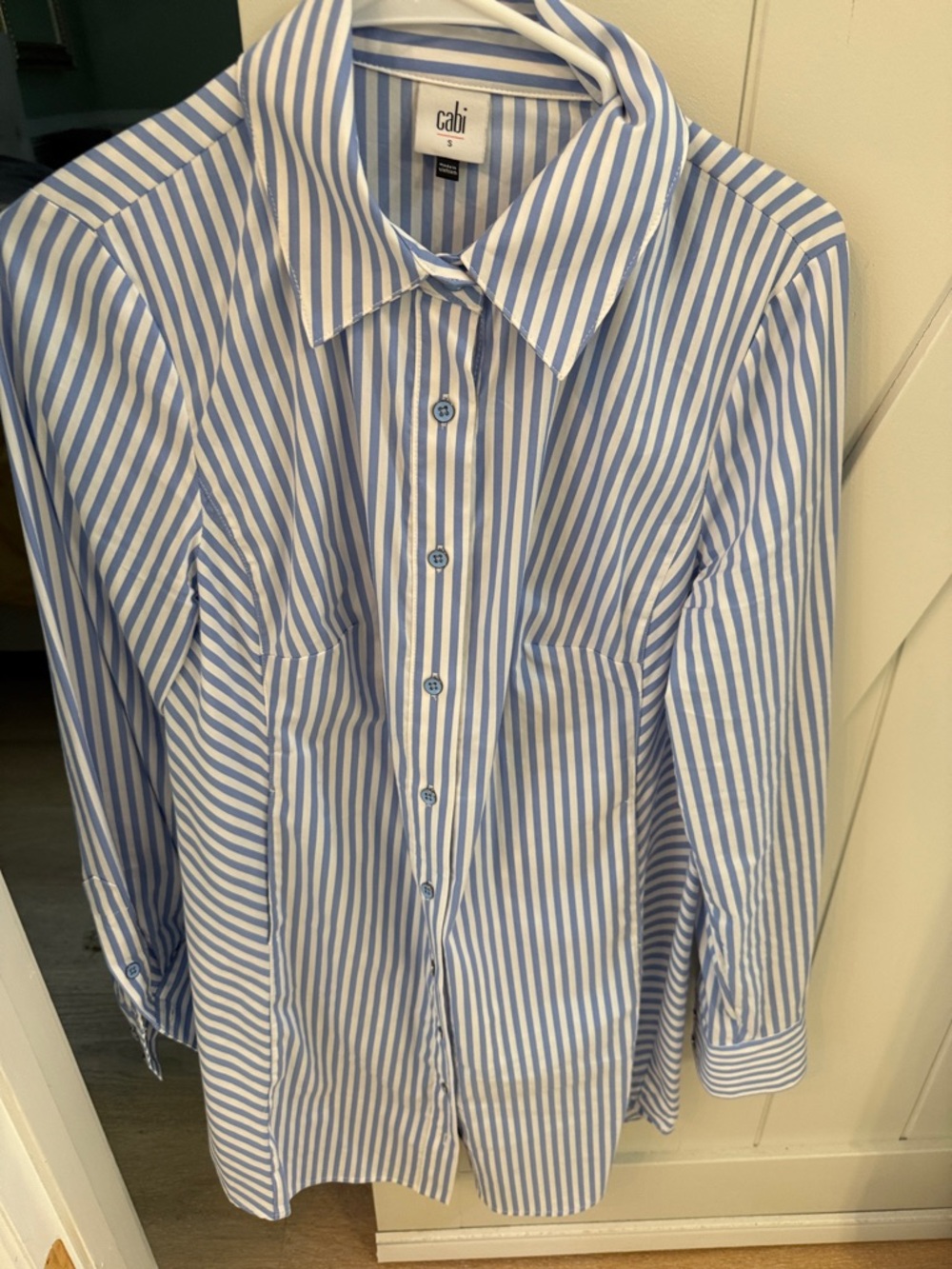 CAbi -6706 Blue and White Vertical Stripe Button-Up Shirt/Dress